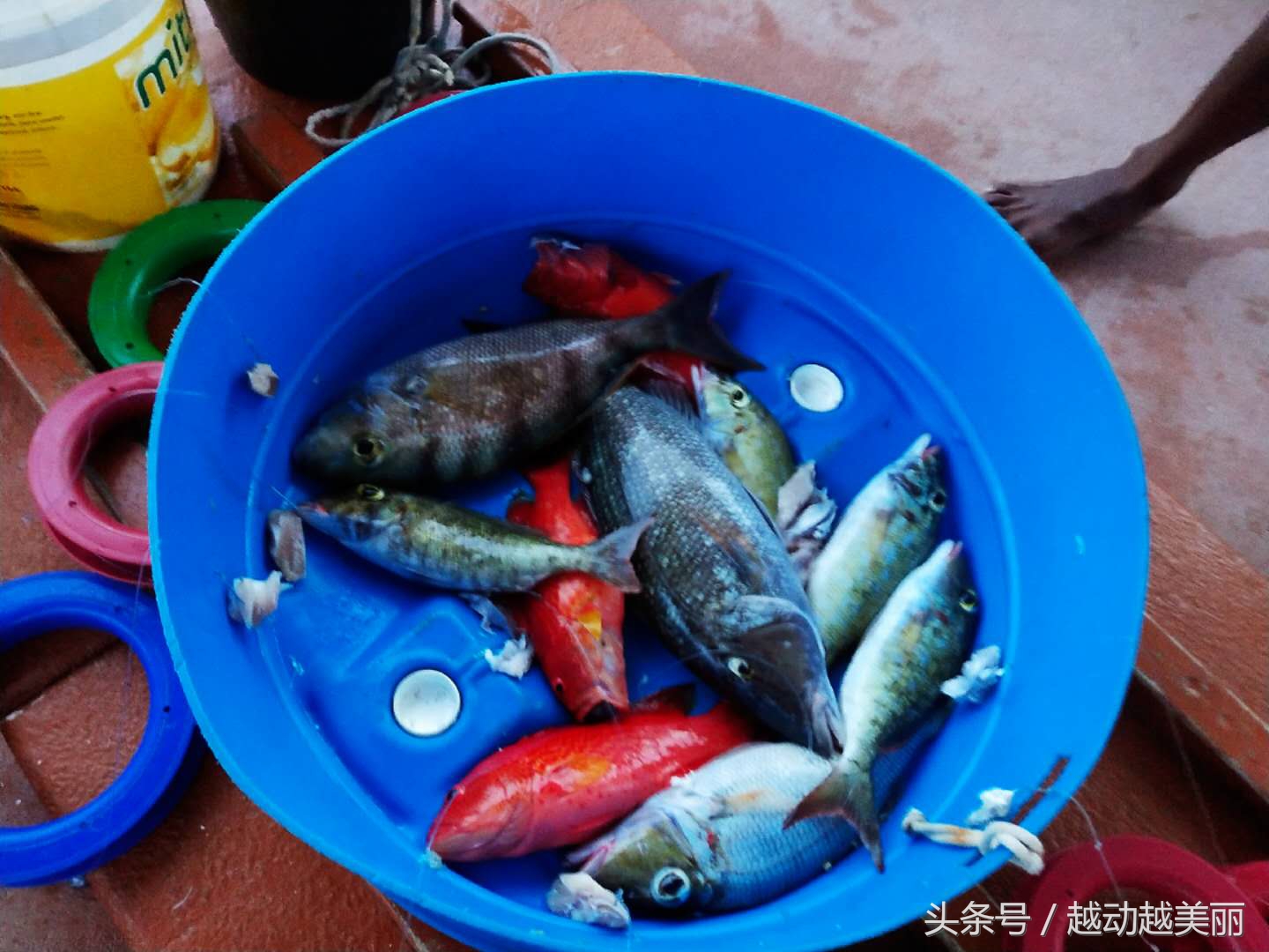 马尔代夫哪个岛浮潜最佳推荐,夏日全民旅行记海滩