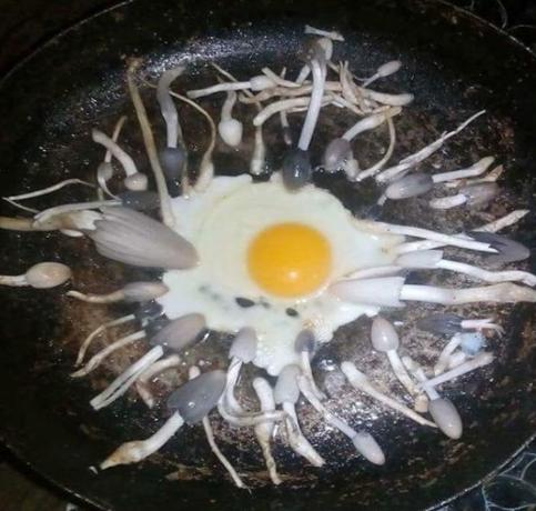 为什么很多女性会被一个受精卵坑到切输卵管？