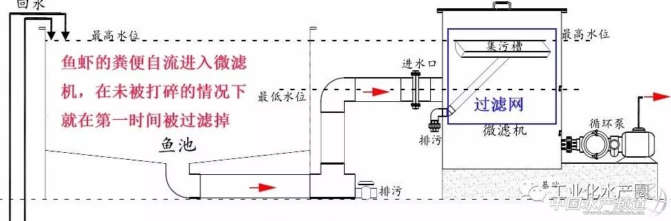 高效循环水水产养殖技术有哪些,水产高密度养殖循环水系统