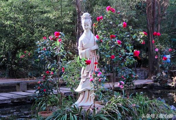 昆明一日游最详细攻略,昆明一日游有什么好推荐的