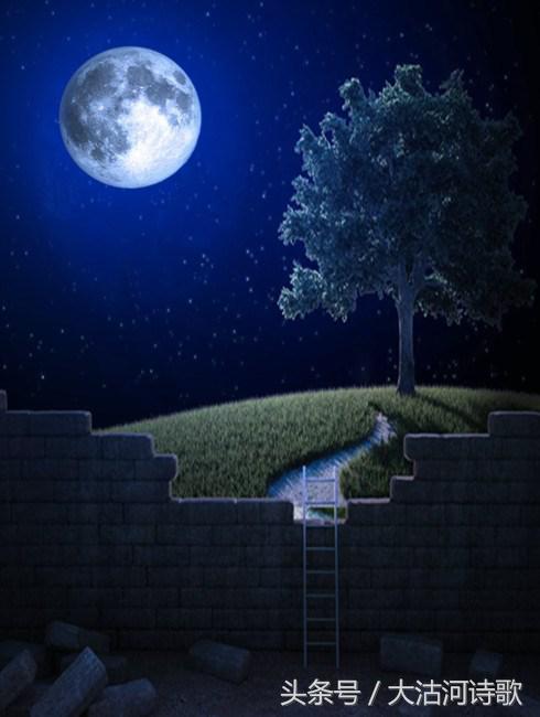 大沽河同题诗《秋月》总汇——56首