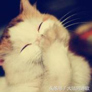 大沽河同题诗《秋月》总汇——56首