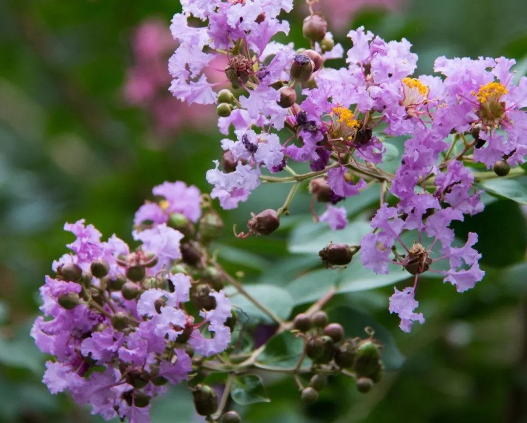喜欢夏天不喜欢冬天,不喜欢夏天想一直活在冬天里
