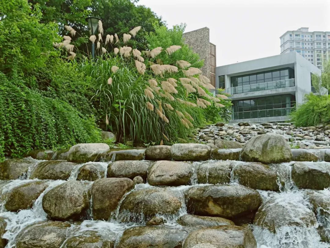 喜欢夏天不喜欢冬天,不喜欢夏天想一直活在冬天里