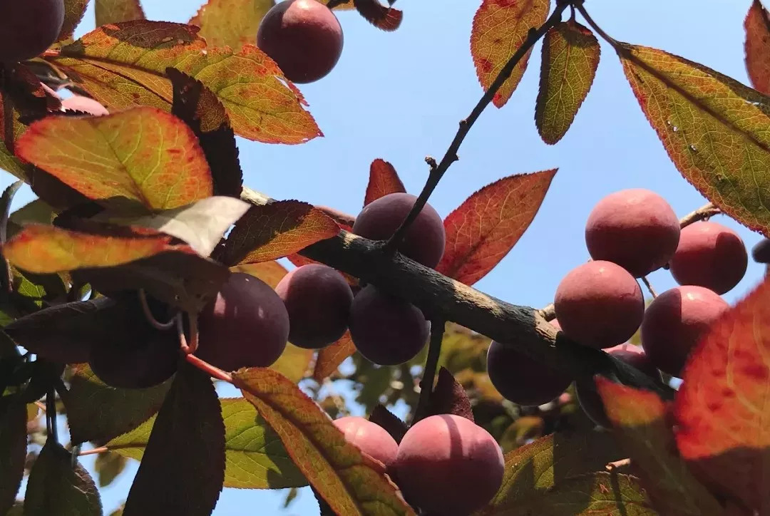喜欢夏天不喜欢冬天,不喜欢夏天想一直活在冬天里