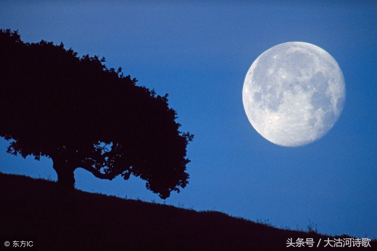 大沽河同题诗《秋月》总汇——56首