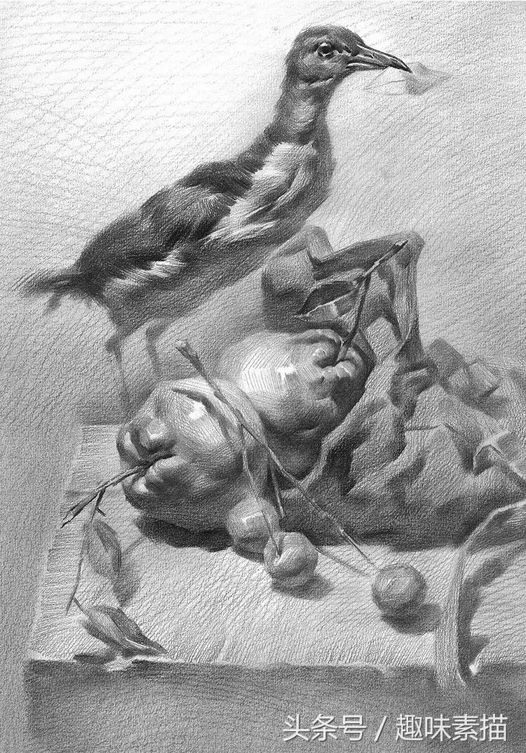 想画好素描头像先学会这三个方法,如何画好静物素描