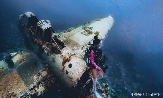 帕劳海底图片大全,帕劳海底世界旅游