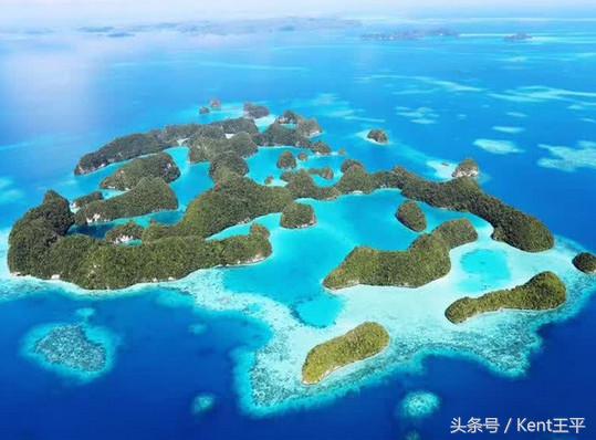 帕劳海底图片大全,帕劳海底世界旅游