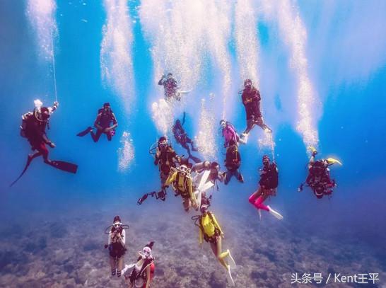 帕劳海底图片大全,帕劳海底世界旅游