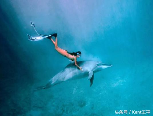 帕劳海底图片大全,帕劳海底世界旅游