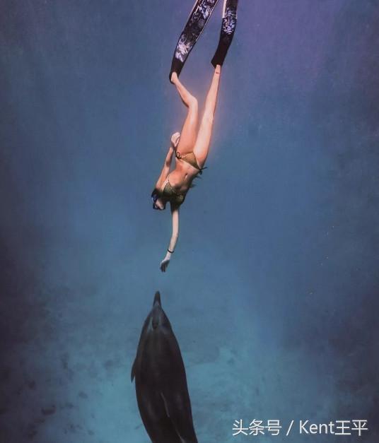 帕劳海底图片大全,帕劳海底世界旅游