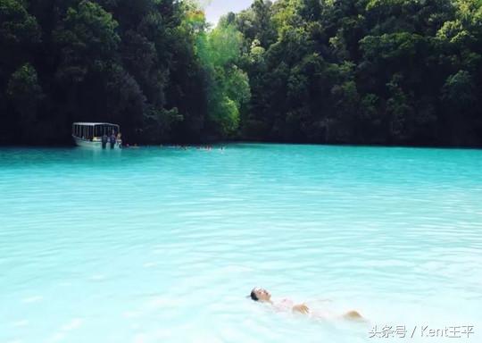 帕劳海底图片大全,帕劳海底世界旅游