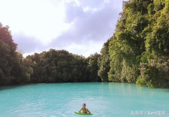 帕劳海底图片大全,帕劳海底世界旅游