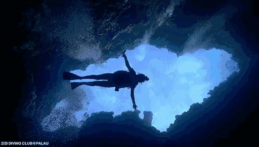 帕劳海底图片大全,帕劳海底世界旅游