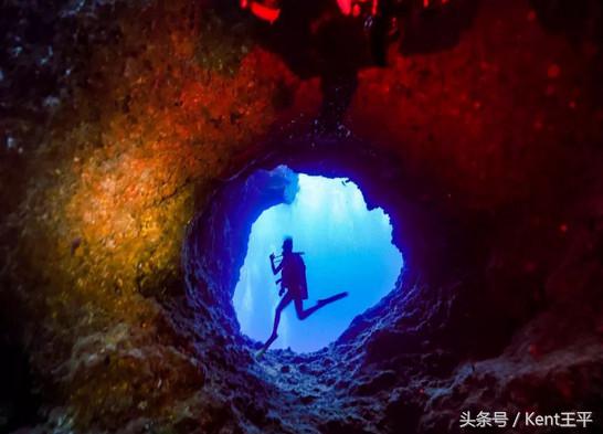 帕劳海底图片大全,帕劳海底世界旅游