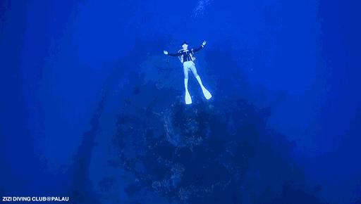 帕劳海底图片大全,帕劳海底世界旅游