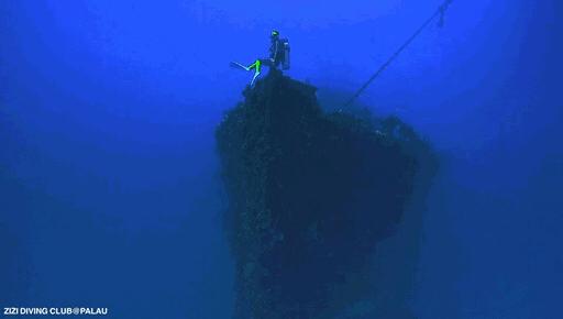 帕劳海底图片大全,帕劳海底世界旅游