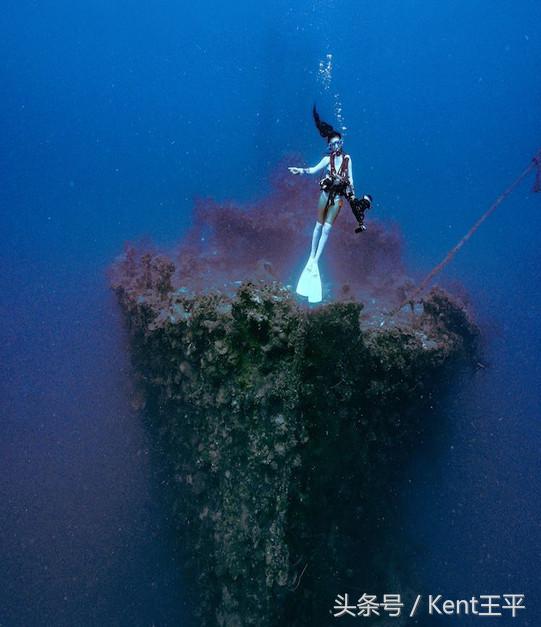 帕劳海底图片大全,帕劳海底世界旅游