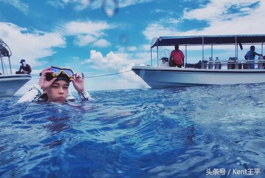 帕劳海底图片大全,帕劳海底世界旅游