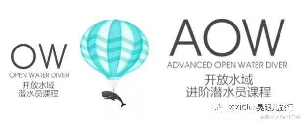 帕劳海底图片大全,帕劳海底世界旅游