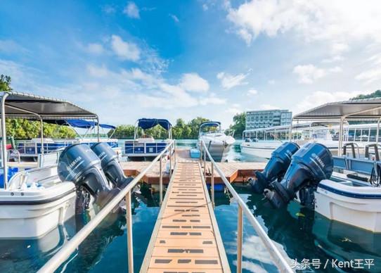 帕劳海底图片大全,帕劳海底世界旅游