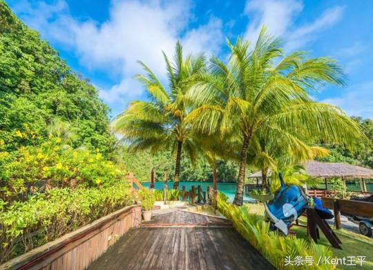 帕劳海底图片大全,帕劳海底世界旅游