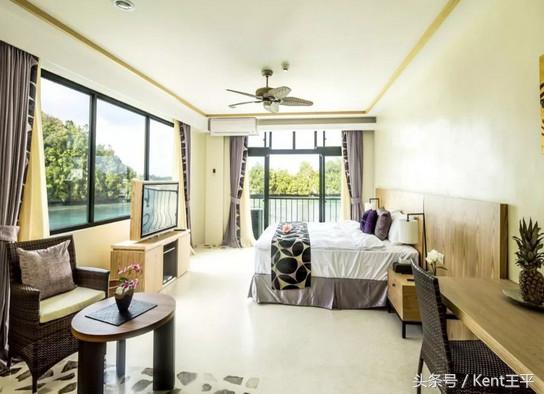 帕劳海底图片大全,帕劳海底世界旅游