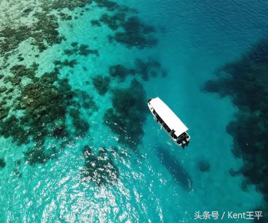 帕劳海底图片大全,帕劳海底世界旅游