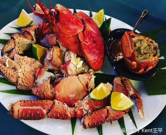 帕劳海底图片大全,帕劳海底世界旅游