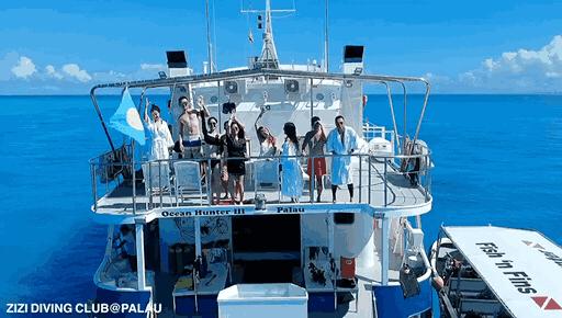 帕劳海底图片大全,帕劳海底世界旅游