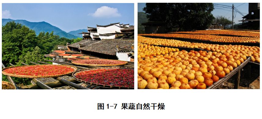 果蔬热风干燥过程,果蔬干制技术应用与研究进展