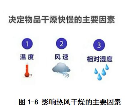 果蔬热风干燥过程,果蔬干制技术应用与研究进展