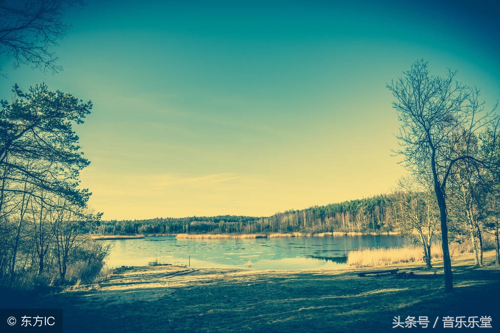 经典电子轻音乐 (经典轻音乐推荐伤感)