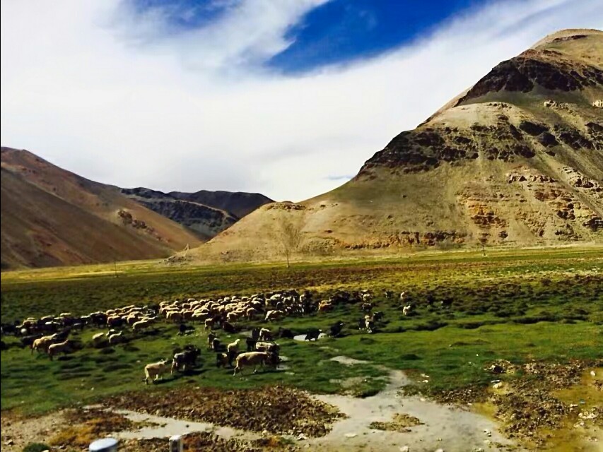 西藏自驾游视频,藏西自驾