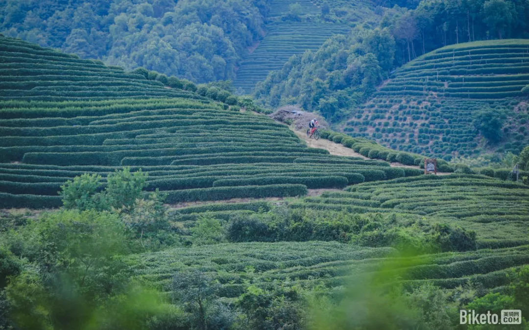 rock杩崱渚北鍦拌溅,杩崱渚北鍦拌溅rockriderrace