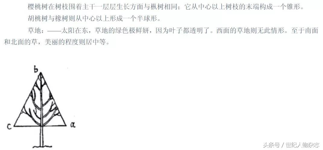 不要用你的业余爱好，挑战我们的专业！