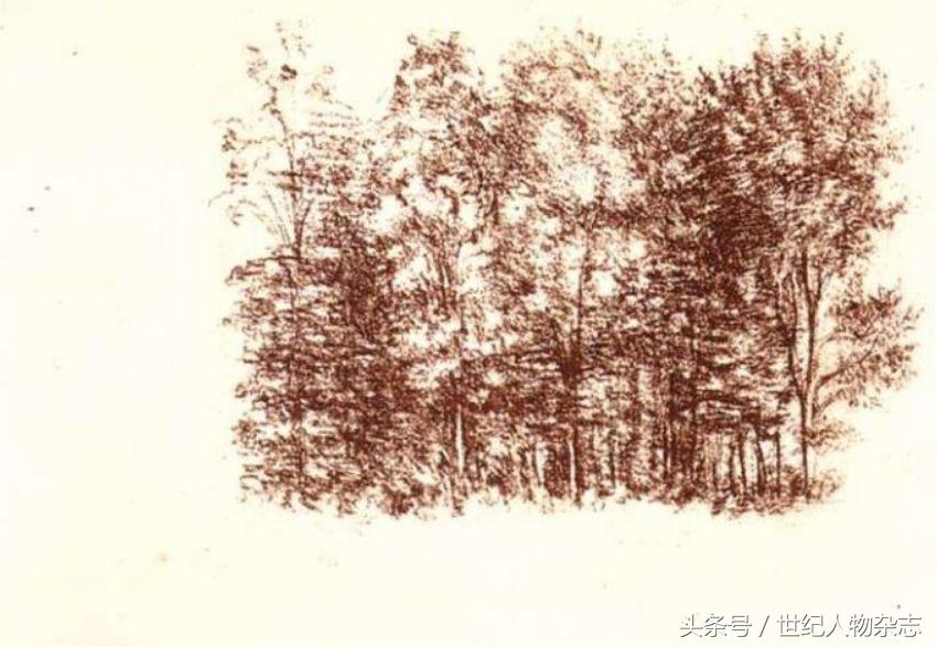 不要用你的业余爱好，挑战我们的专业！