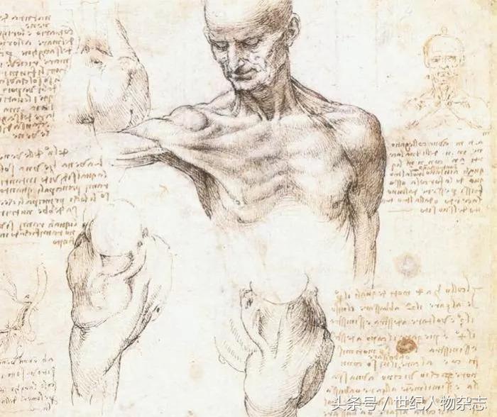 不要用你的业余爱好，挑战我们的专业！