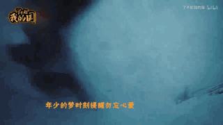 不要用你的业余爱好，挑战我们的专业！