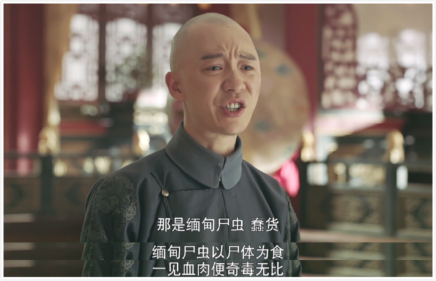 延禧攻略璎珞中尸虫毒片段,延禧攻略魏璎珞用手拿尸虫片段