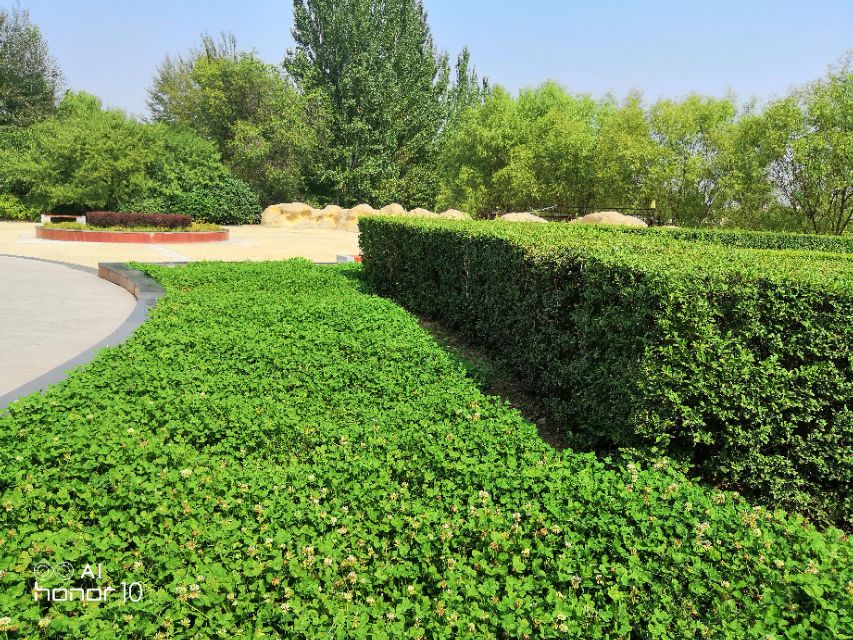 八年级上英语句型专训答案,八年级上册英语句型转换题100个