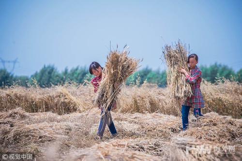 这么多“一家六口三人重病”！除了募捐还能开出什么“药方”？