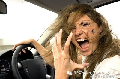 数字真能影响人的命运吗,数字对人的影响有多大