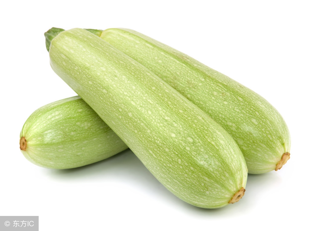 西葫芦种植结瓜后管理,种西葫芦怎么管理得瓜多呢