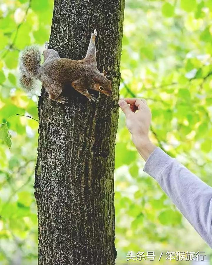 只有2天时间可以去哪里玩,只有2天时间去哪玩