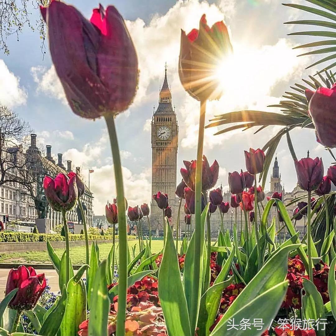 只有2天时间可以去哪里玩,只有2天时间去哪玩