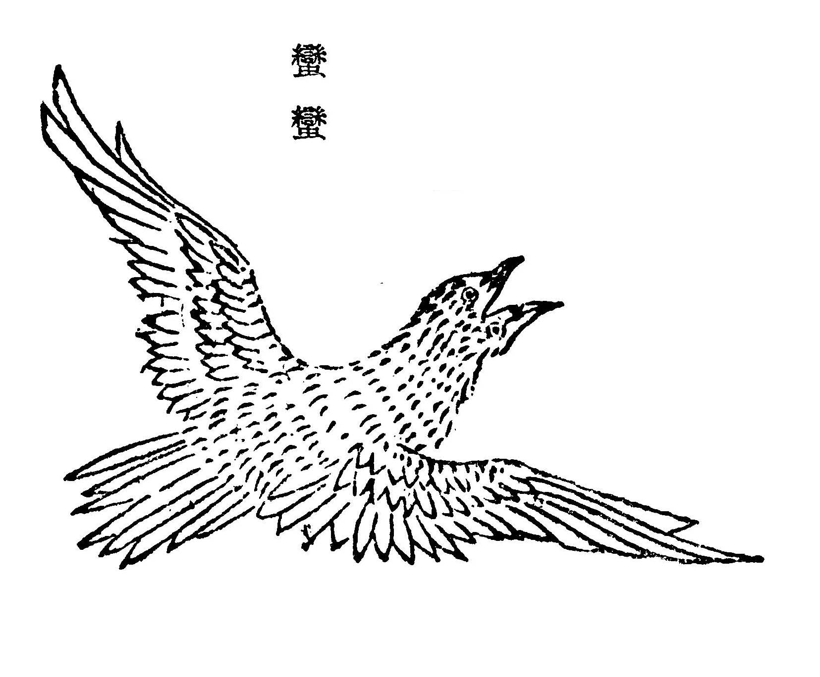 讲解山海经,图解山海经之南山三经