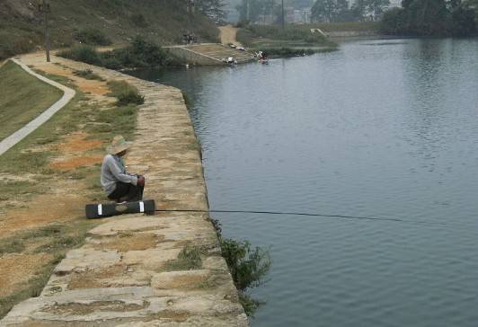 秋季钓鲫鱼实战,秋季野钓专攻鲤鱼饵料