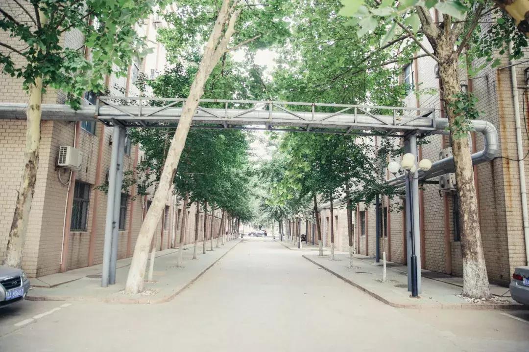 历城二中老照片,历城二中回忆